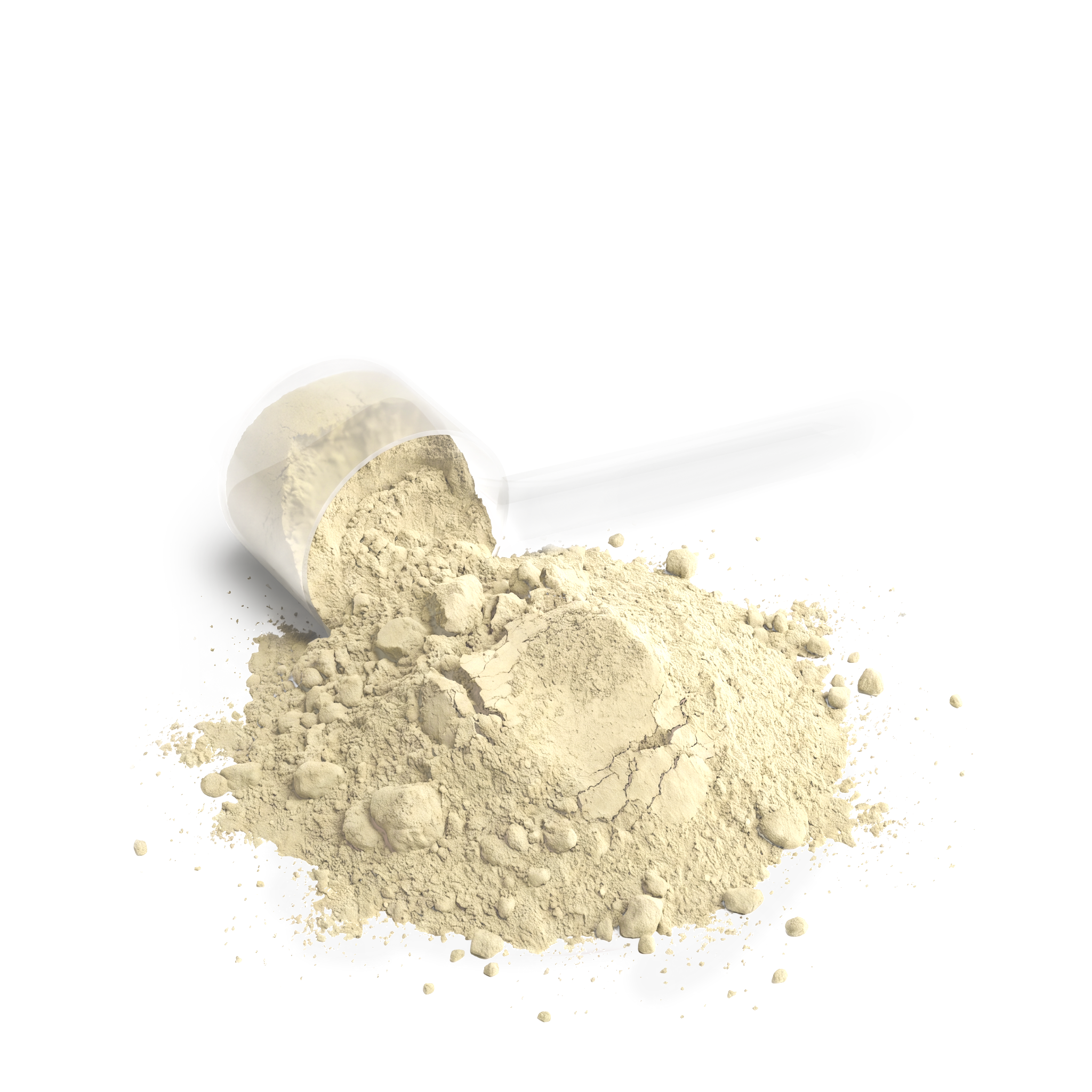BUILD — Performance Whey / Vanilla