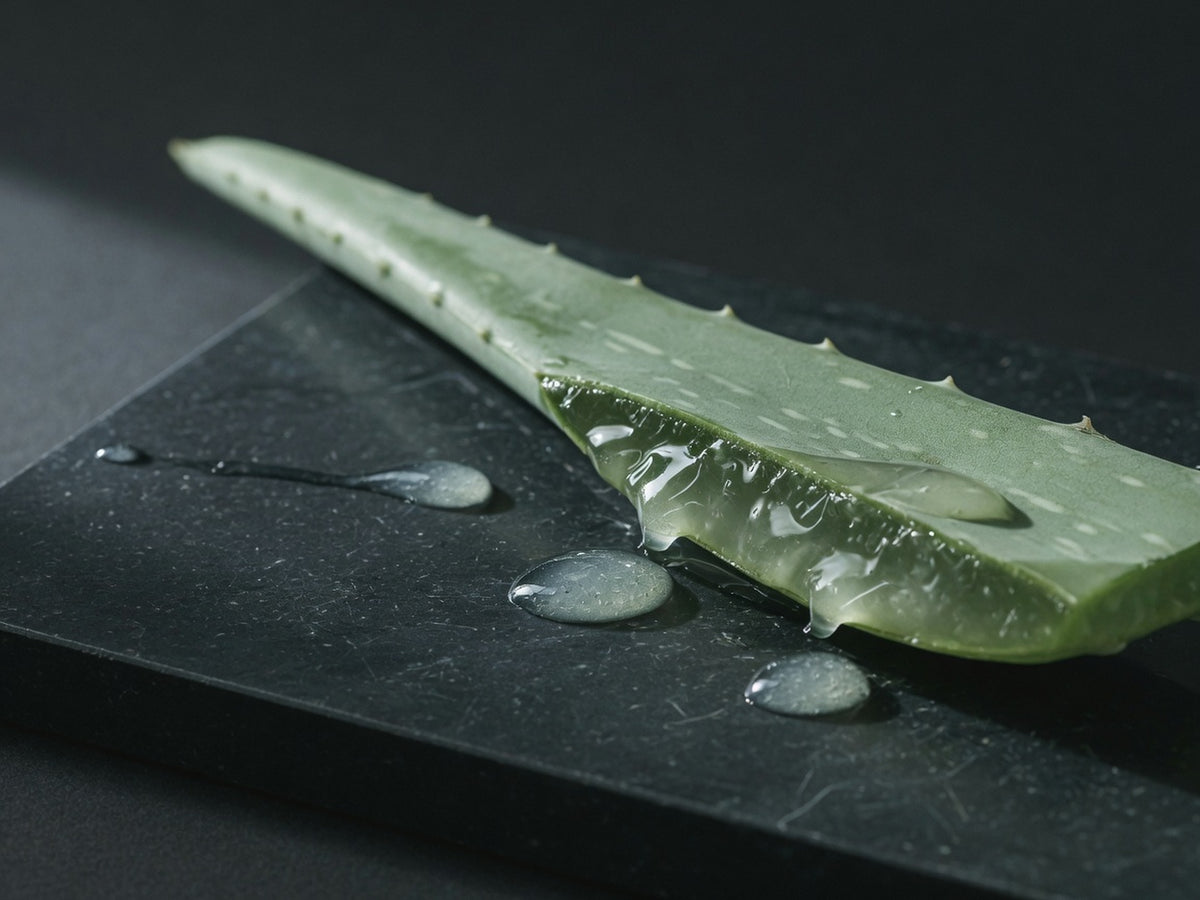 A cut aloe vera leaf, thick and green, split to show the clear gel inside.