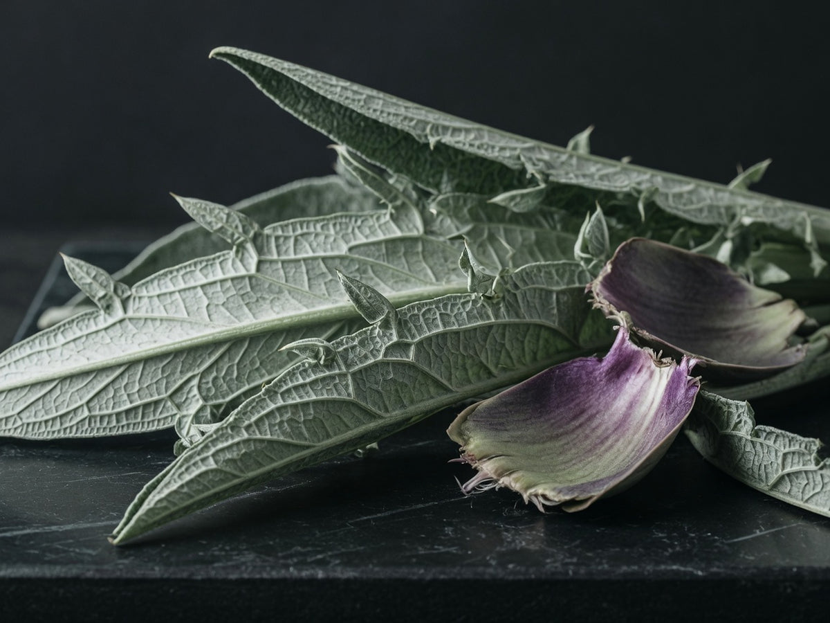 Silvery-green artichoke leaves with a purple-tinged choke fragment.