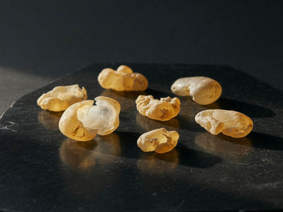 Pale amber-gold frankincense tears, translucent and irregular.