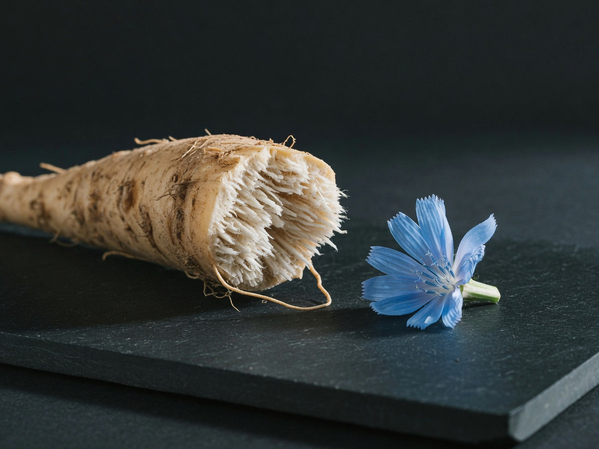 A pale chicory root with a fibrous split end, beside a bright blue flower.
