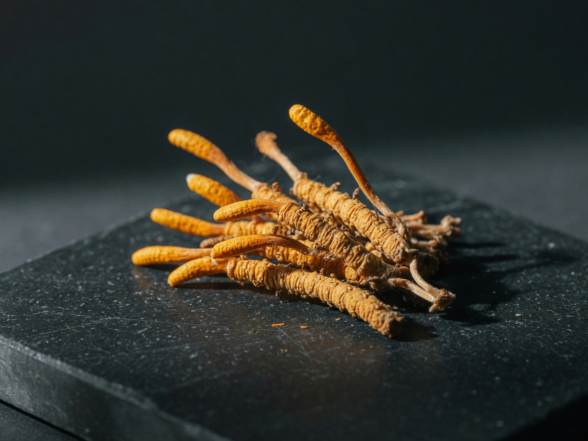 A cluster of orange-gold club-shaped dried cordyceps fruiting bodies.