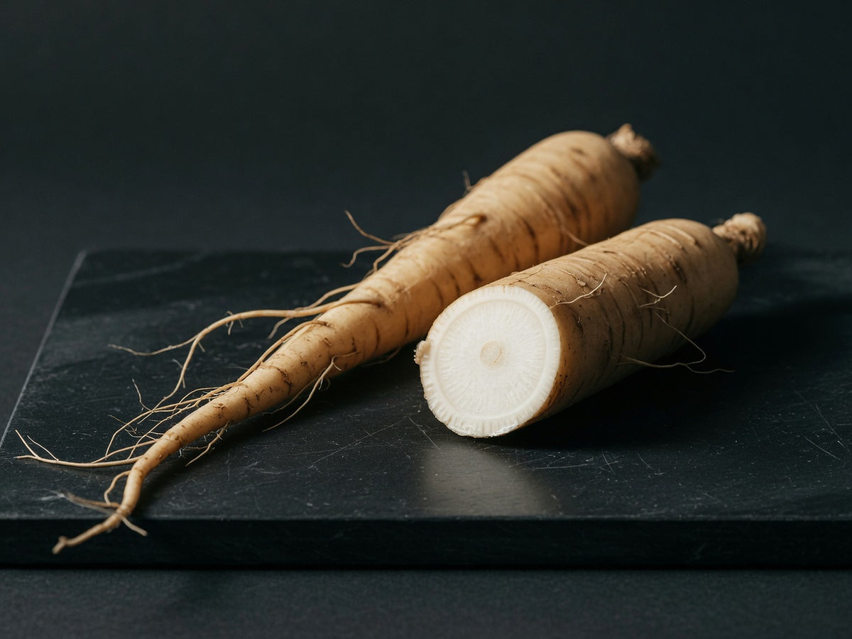 A long pale chicory root beside a cut section showing its white core.