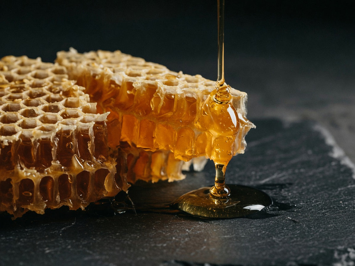 A piece of honeycomb, golden hexagonal cells filled with amber honey.