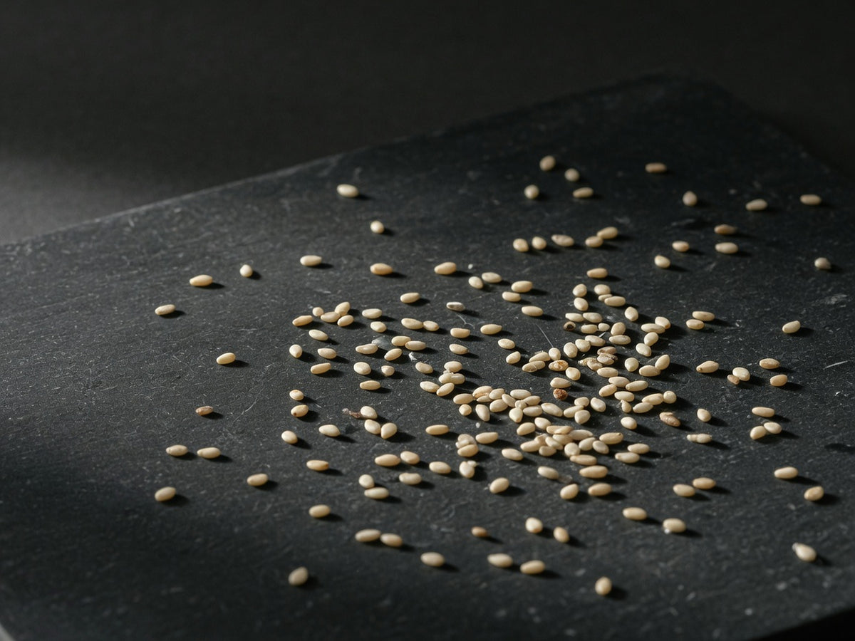 A loose scatter of toasted sesame seeds, cream and pale brown.