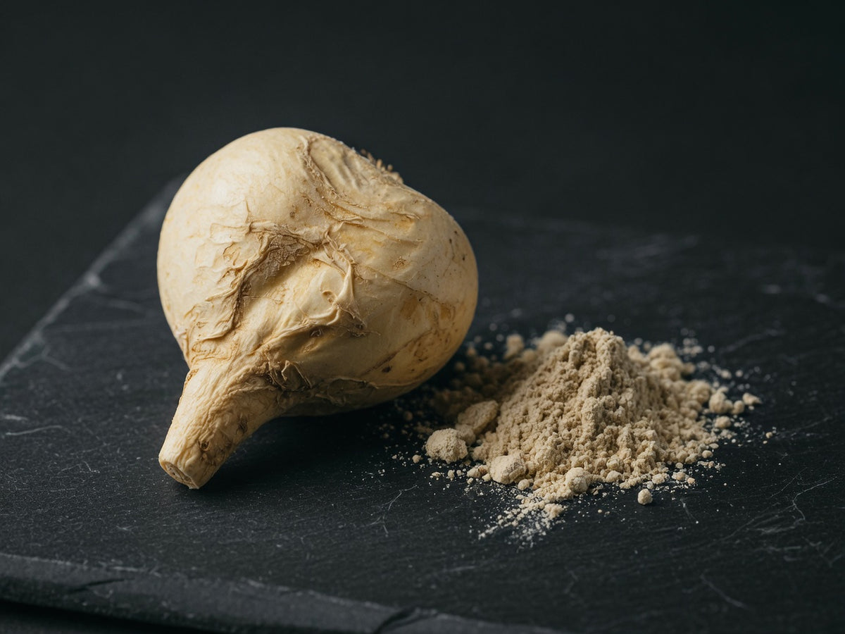 A dried cream-coloured maca root beside a small pile of fine beige powder.