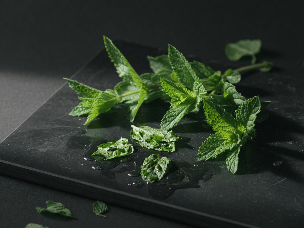 Fresh peppermint sprigs with bright green serrated leaves, some crushed.