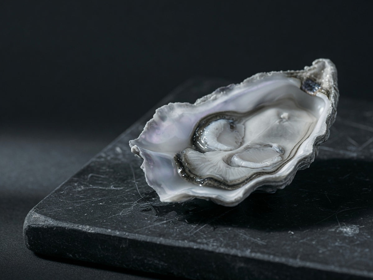 One opened oyster on the half shell, pale flesh glistening, pearlescent shell interior.