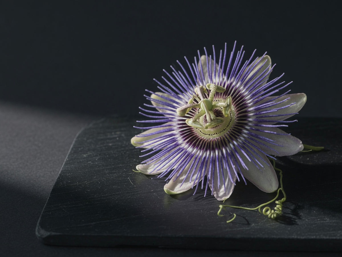 An open passion flower, purple corona filaments radiating from a green centre.