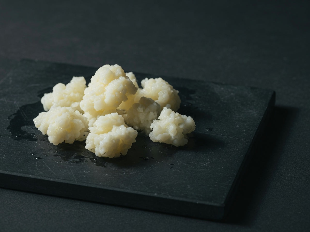 Kefir grains: irregular creamy-white gelatinous clusters, wet and glossy.