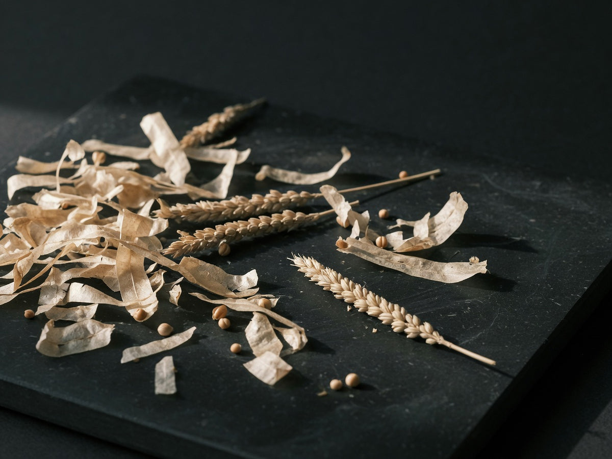 Blond psyllium husks and plantago seed heads, dry and papery.