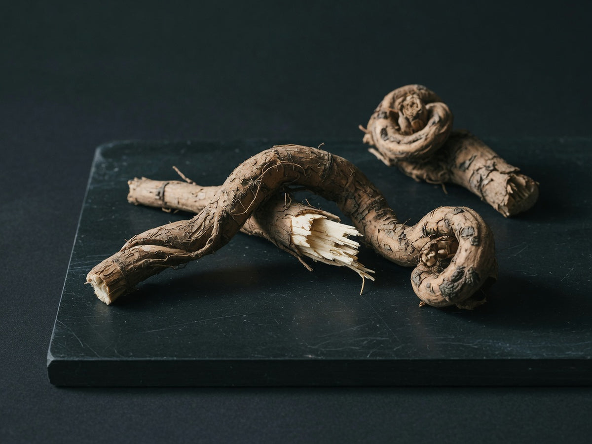 Two gnarled, knotted dried sarsaparilla roots, one snapped to show a fibrous cream core.