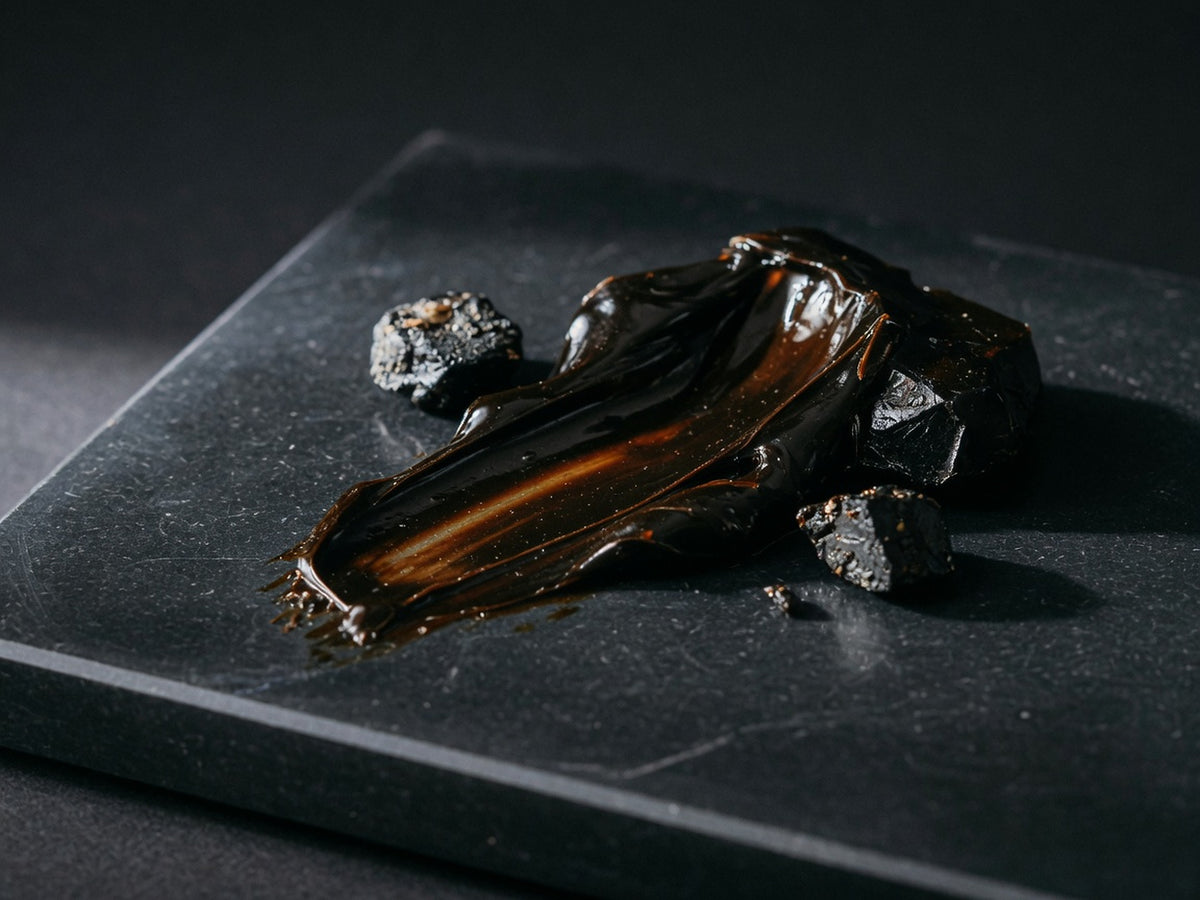 A glossy black-brown mineral resin, tar-like, with a few dark chunks.