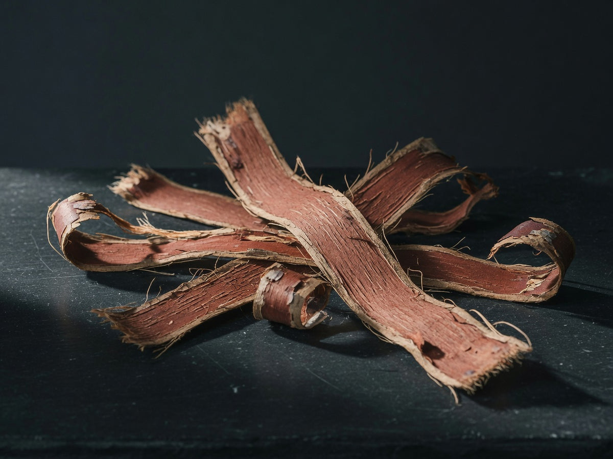Strips of red-brown elm bark, curled to show the fibrous inner face.