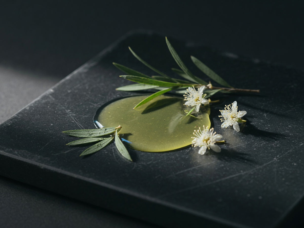 A pool of pale yellow-green tea tree oil with leaves and white blossoms.