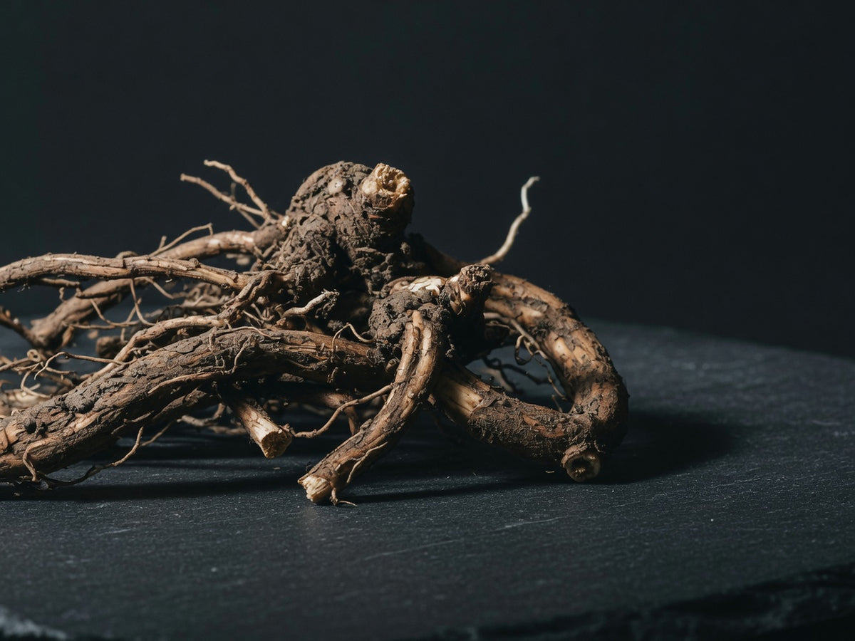 Knotted earthy-brown valerian roots, dry and fibrous.