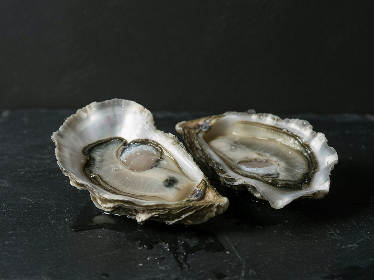 Two raw oysters on the half shell, wet grey-pearl meat and iridescent shell.